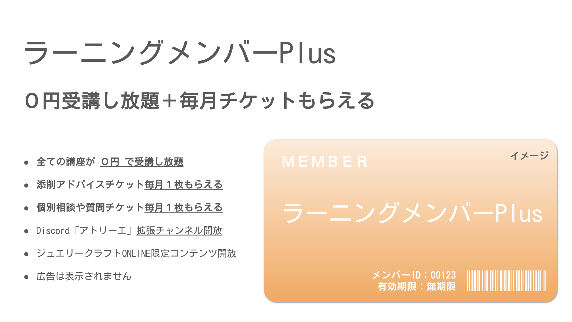 メンバープラン - ラーニングPlus メンバー