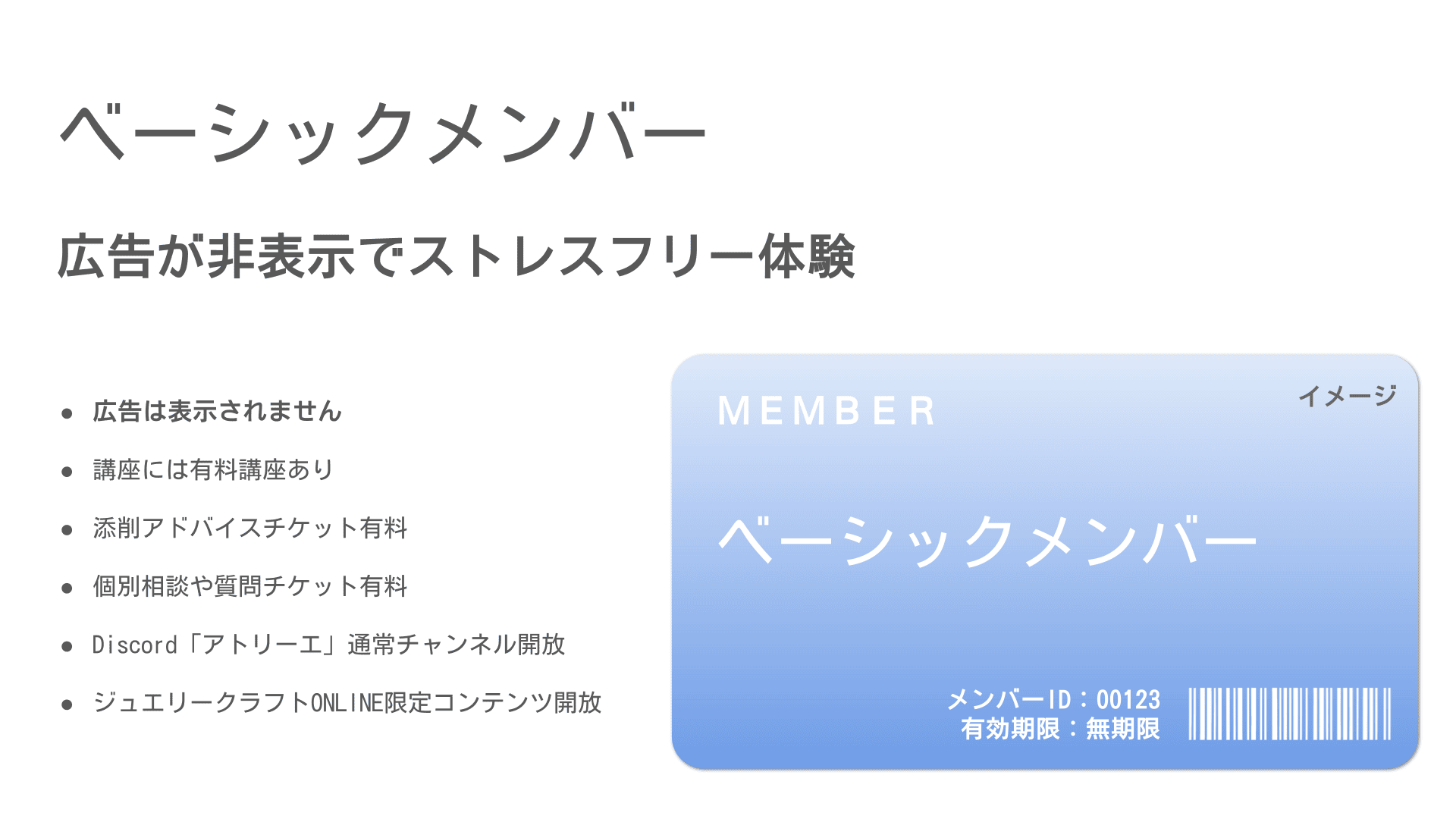 メンバープラン - ベーシック メンバー