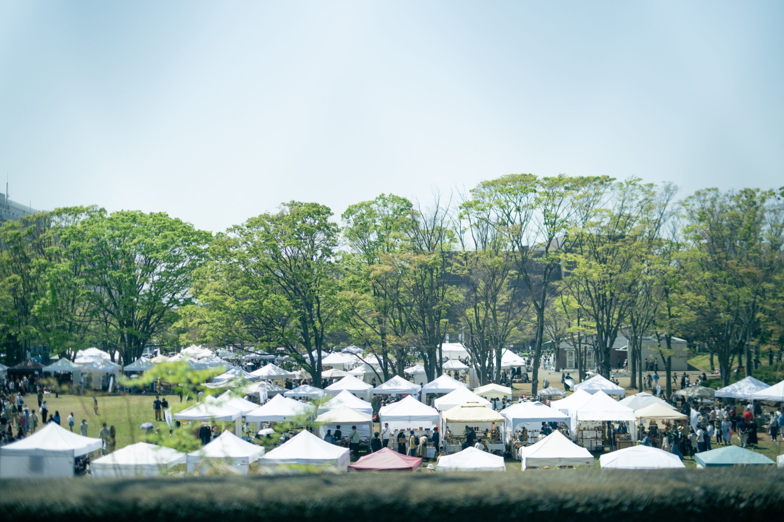 湘南茅ヶ崎クラフトフェアいちの市の公式会場写真