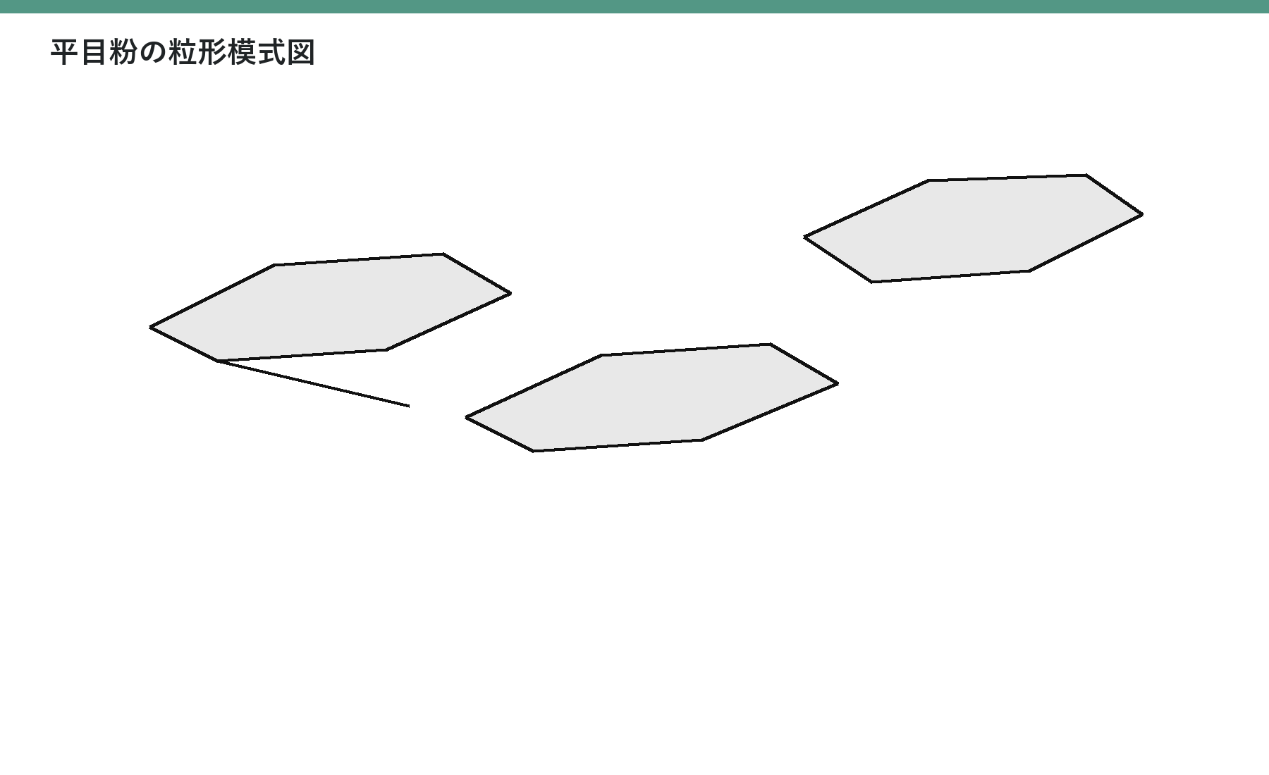 押し潰されて円盤状になった複数の粒の模式図