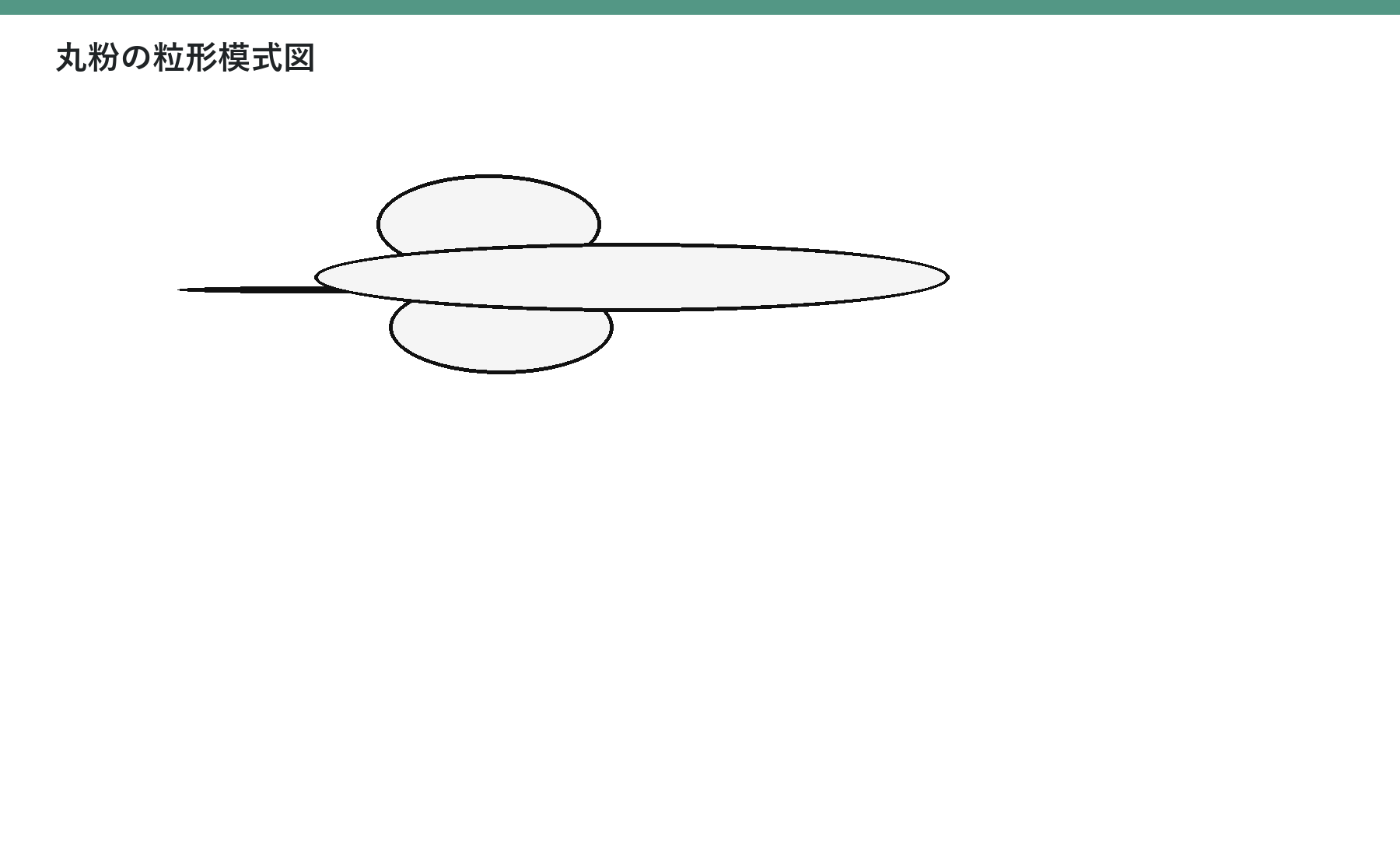 丸みを帯びた複数の粒を円で表した模式図