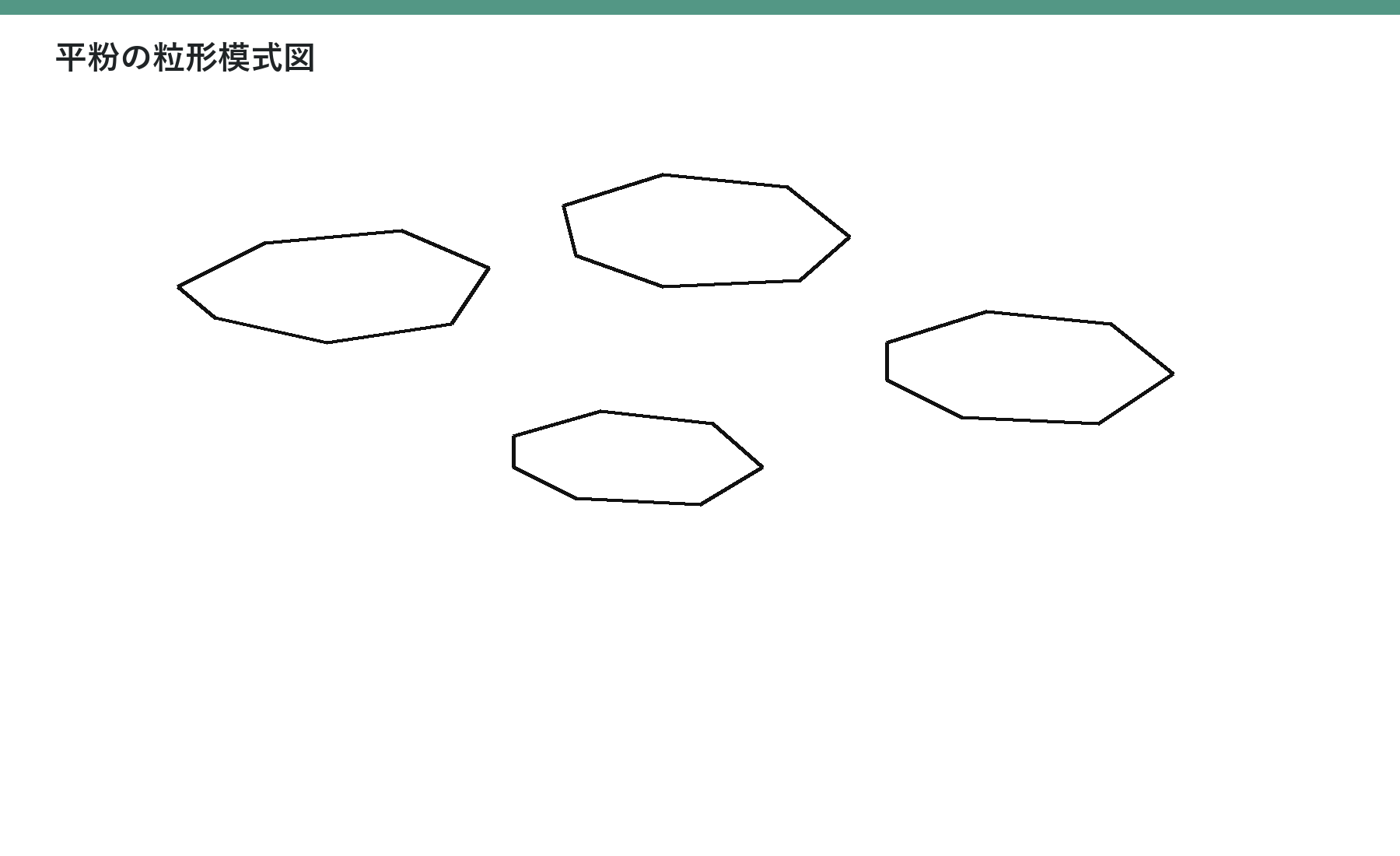 薄く不規則な輪郭を持つ複数の粒の模式図